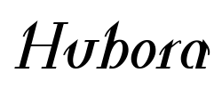 Hubora - logo